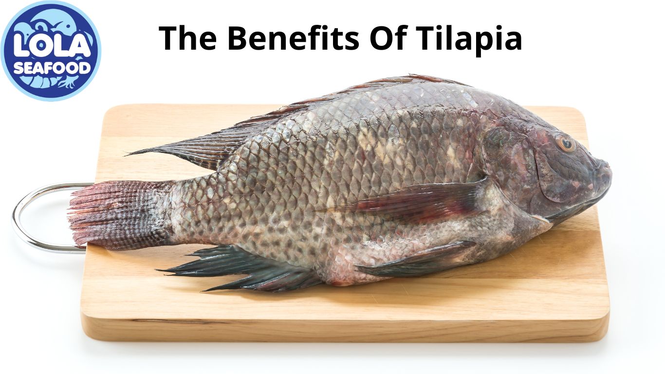 The Benefits Of Tilapia